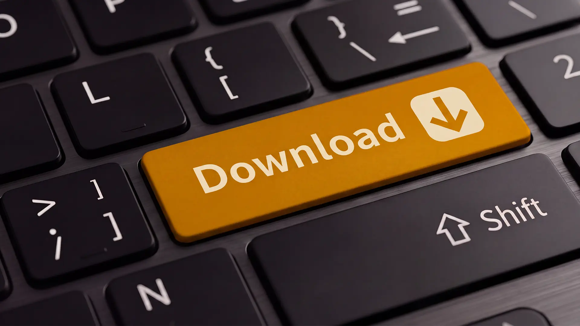 Medien & Downloads